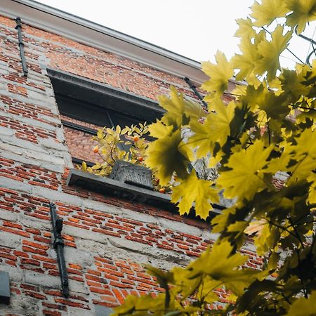 Duplex In Historical Centre With Private Courtyard Apartamento Antuérpia Exterior foto
