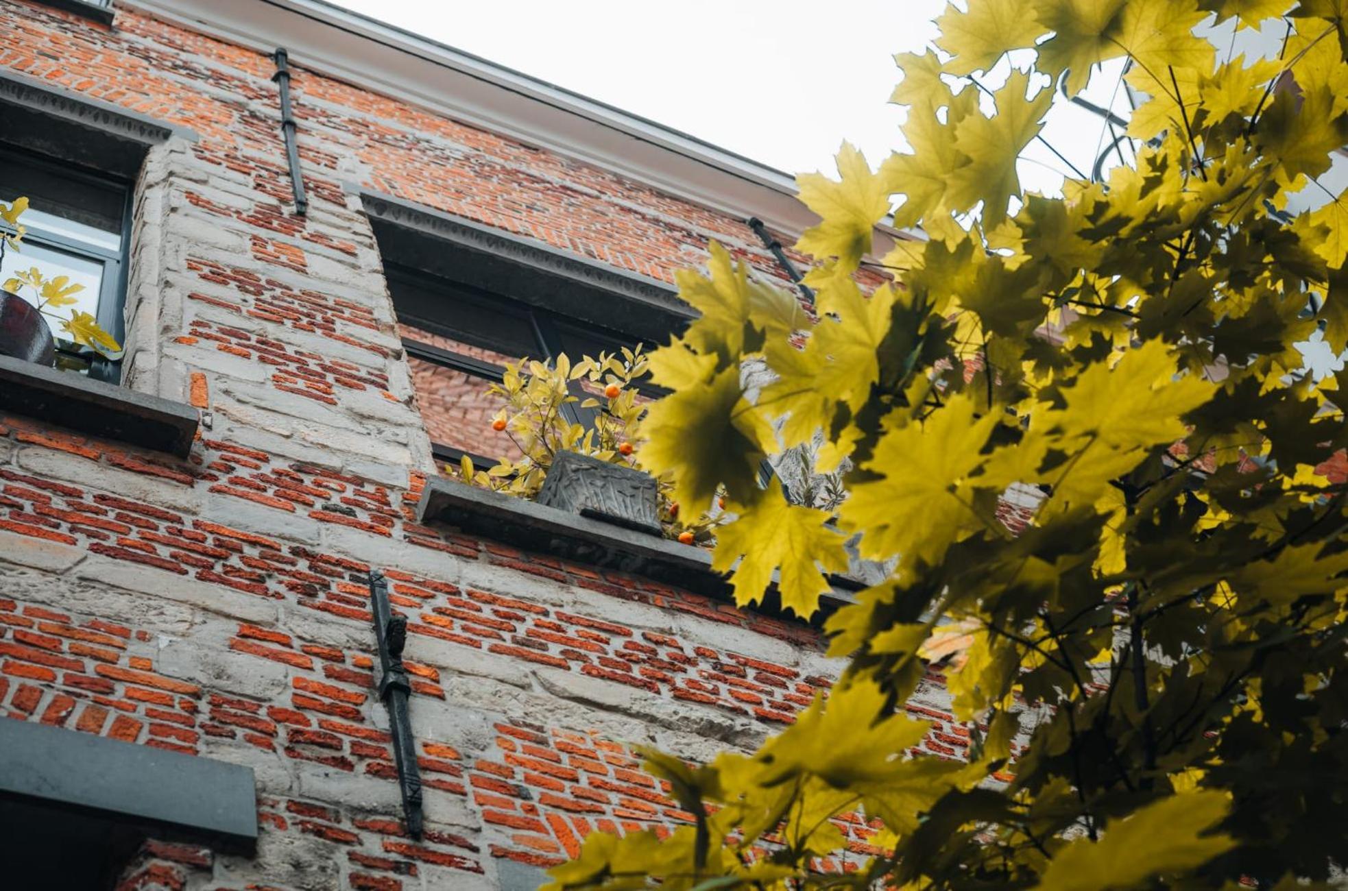Duplex In Historical Centre With Private Courtyard Apartamento Antuérpia Exterior foto